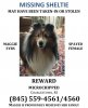 Maggie Poster.jpg