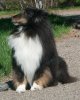 Ringo Apr 2017_38.jpg