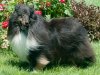 Ringo Jun 19 2016_08.jpg