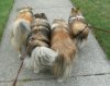 the kids walk back.jpg