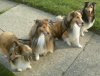the kids walk.jpg