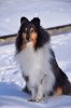 DSC_1136.jpg