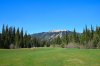 DSC_1485.jpg