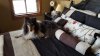 20170504_103231.jpg