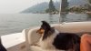20170908_102524.jpg