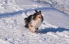 DSC_0541_1.jpg