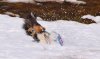 DSC_0422a.jpg