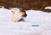 DSC_0423a.jpg