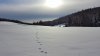 20151122_113601.jpg