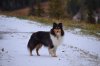DSC_0310_1.jpg