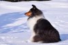 DSC_1138.jpg