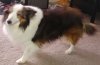 brushed3.jpg