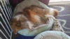 20171227_142416.jpg 20171227_142416.jpg