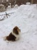 Mt St Logan.jpg