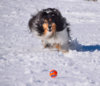 DSC_1687.JPG