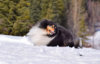 DSC_1713.JPG