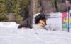 DSC_1714.JPG