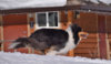 DSC_1720.JPG
