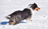 DSC_1708.JPG