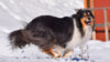 DSC_1729.JPG