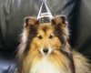 Tully birthday.jpg