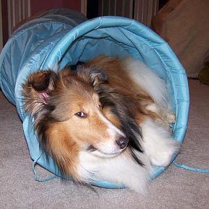 Tunnel