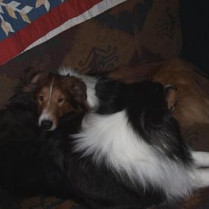 Winter 2009