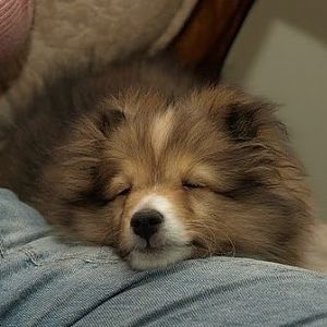 Ginny's Baby Pictures