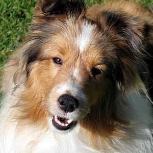 Ellie at 19 months