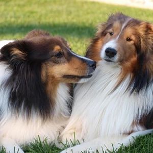 What do you suppose they are talking about?