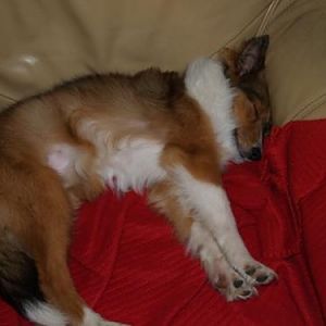 Baby pictures