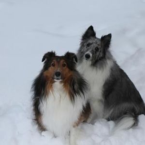 Abby's 7th Birthday (bi-blue)