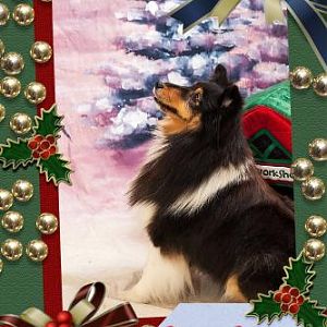Indy and Treesa's Family Photos
