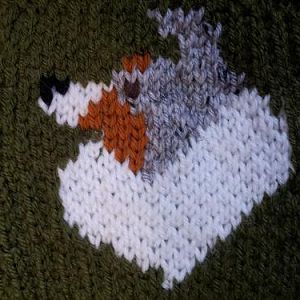 Sheltie Afghan