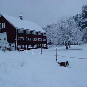 Trevor & our barn