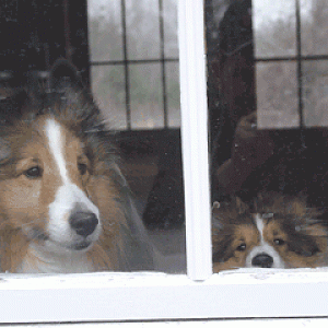 Trevor & Toby