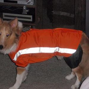 I'm ready for the rain!