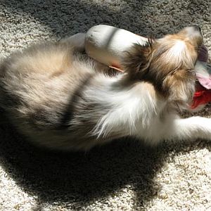 Sooooooooo tired!