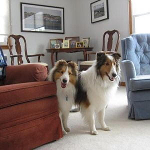 Joey&Bailey