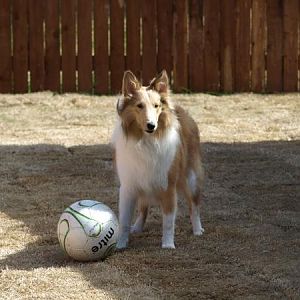 Kick the ball already!
