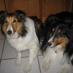 Tru&Kendall2
