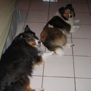 Tru&Kendall1