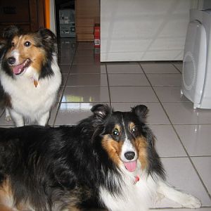 Tru&Kendall3