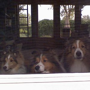 Larry, Mo & Curley.  LOL...