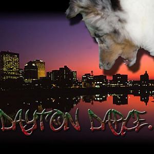 dayton darce 1024x768