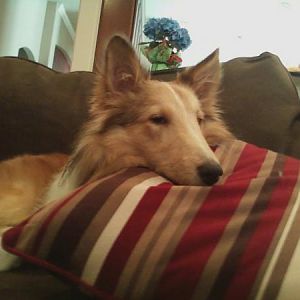 Max annoyed