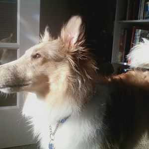 Max in Sun