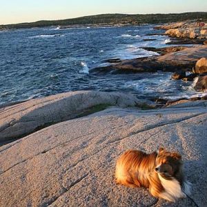 Peggy's Cove 092