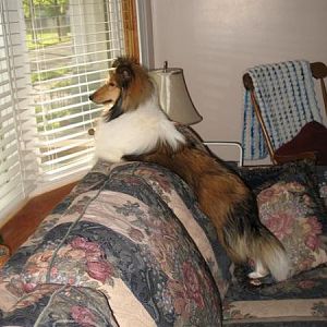 Photo51