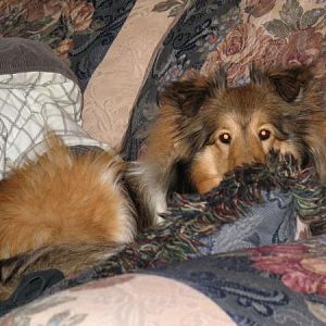 Photo48